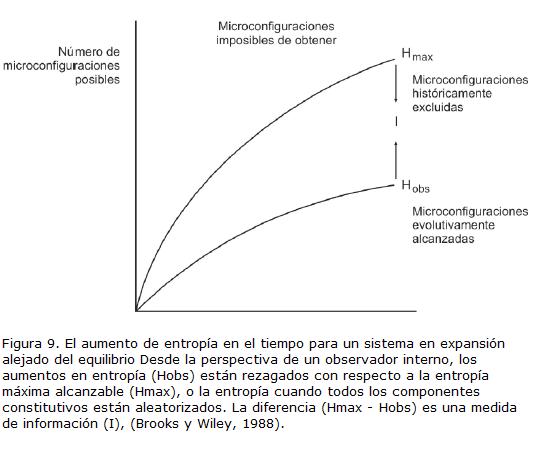 Resultado de imagen de El Tiempo transcurre y la entropÃ­a aumenta