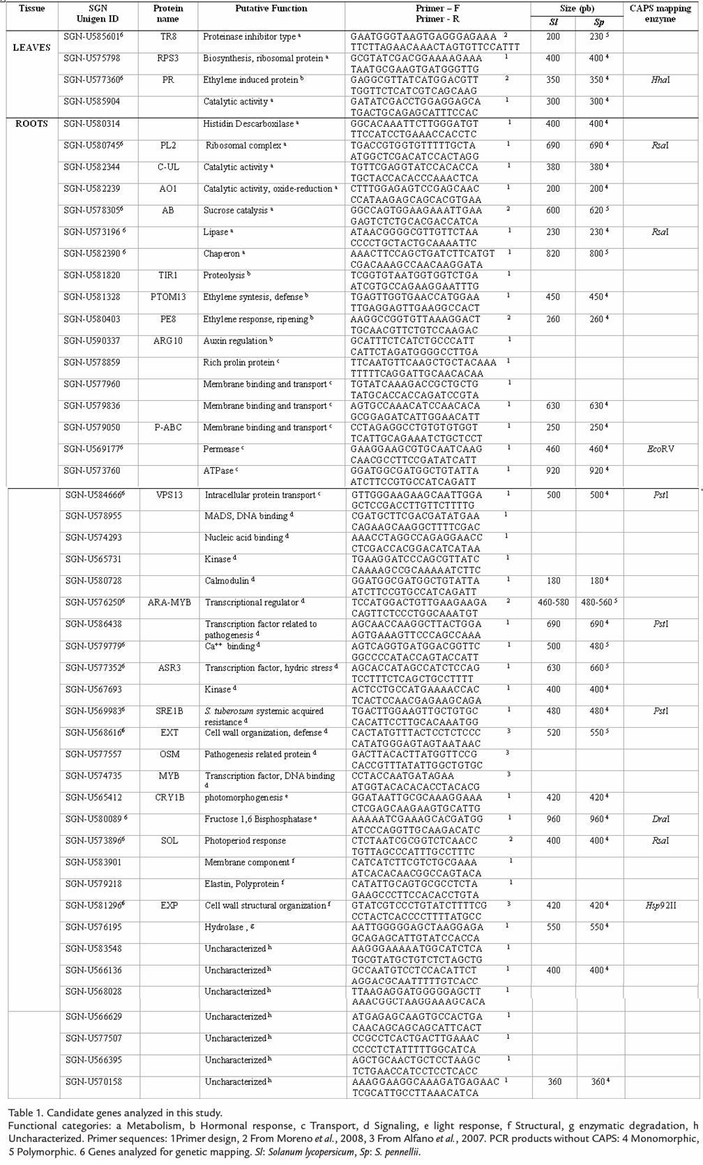 Sol Score Chart