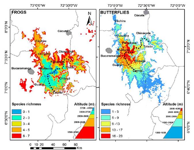 POTENTIAL SPECIES RICHNESS OF FROGS AND DIURNAL BUTTERFLIES IN THREE ...