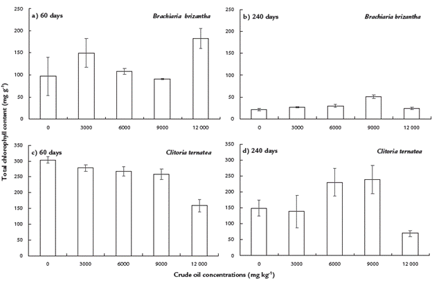 IMPACT OF CRUDE OIL ON FUNCTIONAL GROUPS OF CULTURABLE BACTERIA AND 