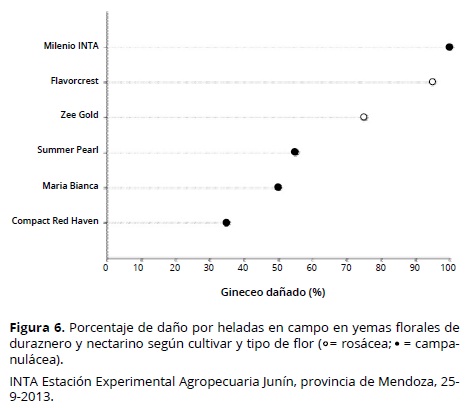 Descripción:\img\revistas\acag\v64n3\v64n3a07f6.jpg