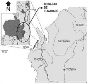 Cual Es La Ubicacion Espacial De Colombia