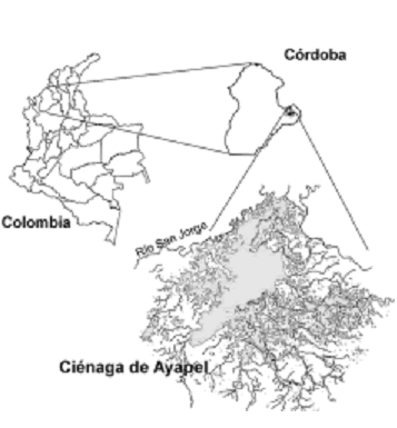 Cual Es La Importancia De La Geografia Economica En Colombia