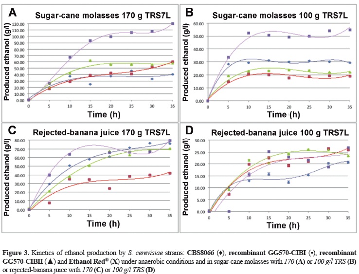 bioethanol yeast strains