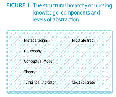 example of grand theory in nursing