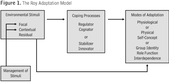 Background Of Roy Adaptation Model Ram