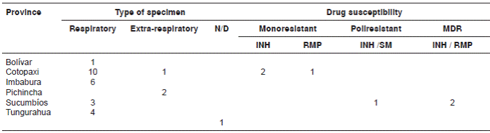 Identification of the Mycobacterium tuberculosis Beijing lineage in Ecuador