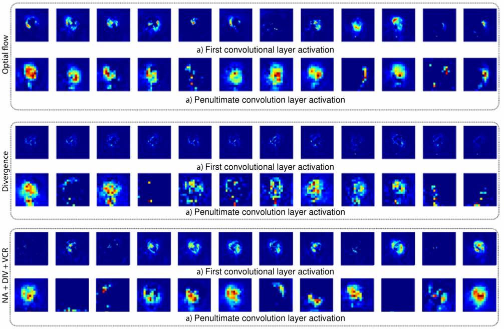 Cardiac disease discrimination from 3D-convolutional kinematic patterns ...