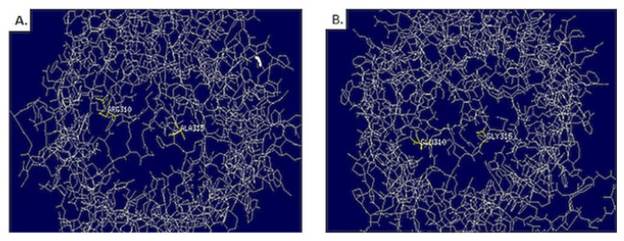 Detection of carbapenem resistance genes in Pseudomonas aeruginosa ...