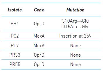 Detection of carbapenem resistance genes in Pseudomonas aeruginosa ...