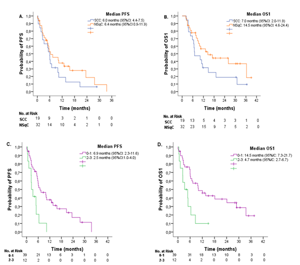 Survival Outcomes in Advanced Non-Small Cell Lung Cancer in a Cancer ...