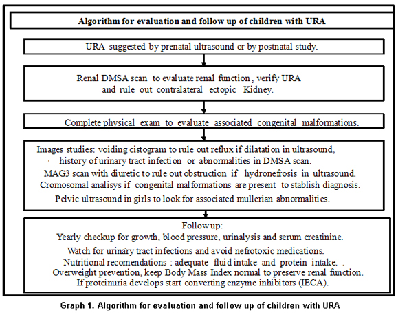 Normal Pediatric Kidney Size Chart