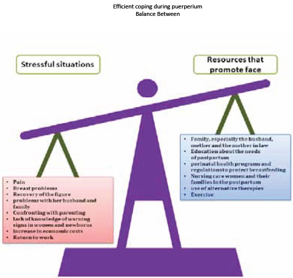 The Roy Adaptation Model (3rd Edition)l