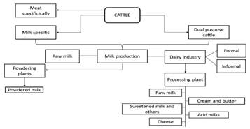 Logistic Characterization Of The Dairy Supply Chain logistic-characterization-of-the-dairy-supply-chain