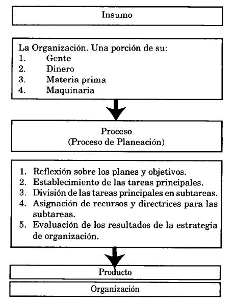 administracion en las organizaciones kast pdf