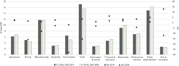 Economic impacts of agricultural policy responses to the outbreak of ...