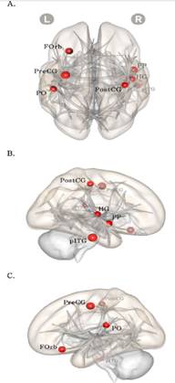 Resting State Brain Network Function in Elderly: The Formation of ...