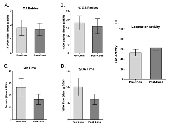 Voluntary Ethanol Intake and Anxiety Behavior in Wistar-Uis Rats