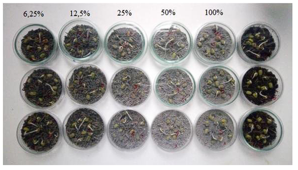 Evaluation of particulate matter in coal bottom ash and its possible ...