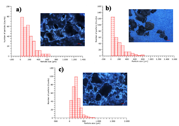 Evaluation of particulate matter in coal bottom ash and its possible ...