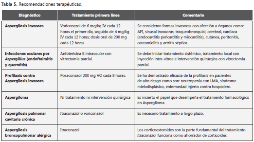 Recomendaciones para el tratamiento de la infección por Aspergillus spp   Enfermedades Infecciosas y Microbiología Clínica