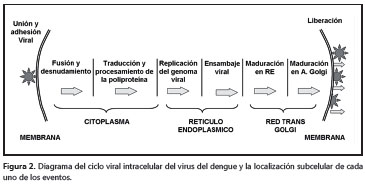 Esquema.