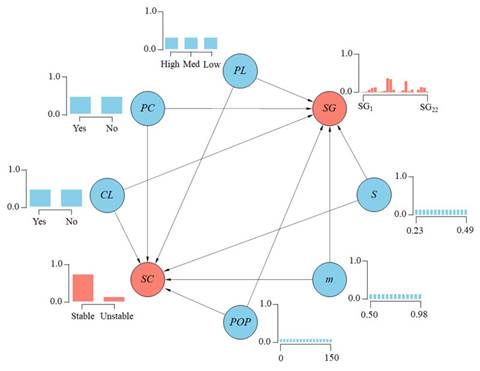 Testing the Causes of a Levee Failure Using Bayesian Networks
