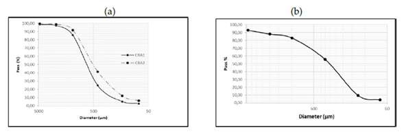 Study on the Use of Coal Bottom Ash as a Raw Material Replacement for ...