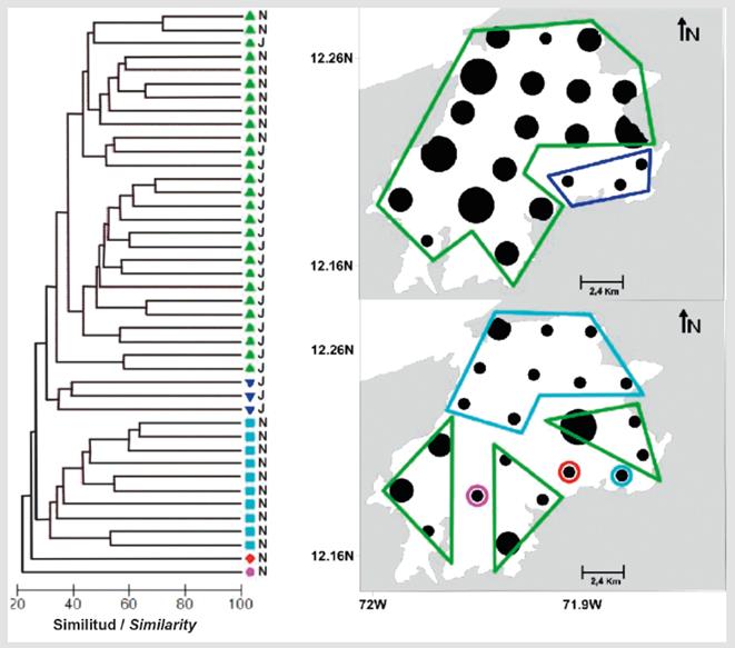 Spatial and temporal variation of fish larvae in a hypersaline bay of ...