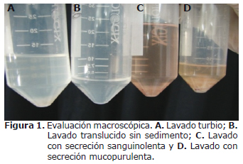 Figura 1