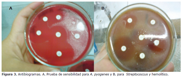 Figura 3