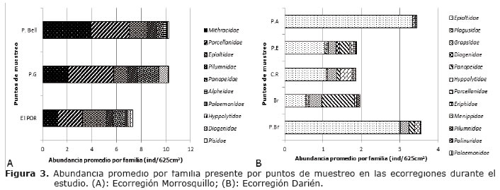 Figura 3