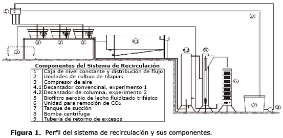 Figura 1