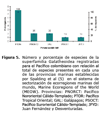 Figura 5