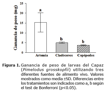 Figura 1