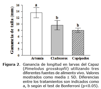 Figura 2