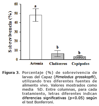 Figura 3