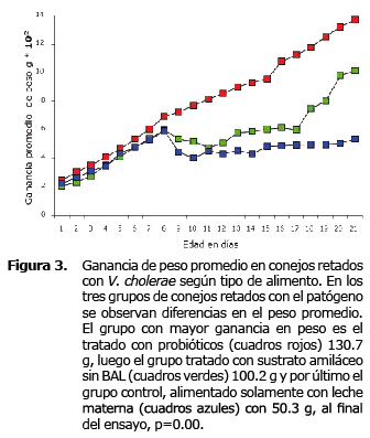 Figura 3