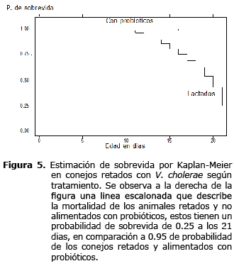 Figura 5