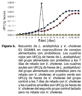 Figura 6