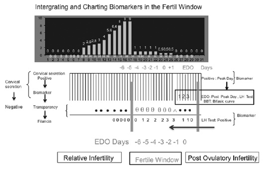 THE FERTILE WINDOW AND BIOMARKERS: A REVIEW AND ANALYSIS OF NORMAL  OVULATION CYCLES