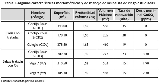 Advierten que sulfato de cobre colocado en el agua por ANDA podría producir  graves daños hepáticos