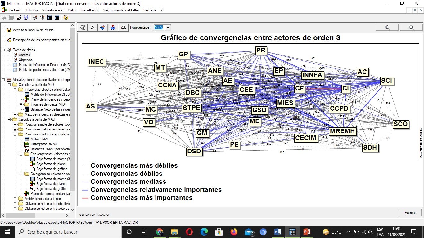 Alliances and conflicts between the stakeholders of a non-governmental ...
