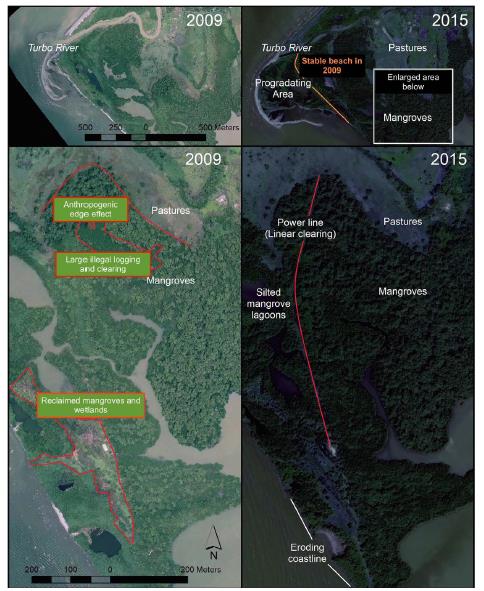 Mangroves of Colombia revisited in an era of open data ...