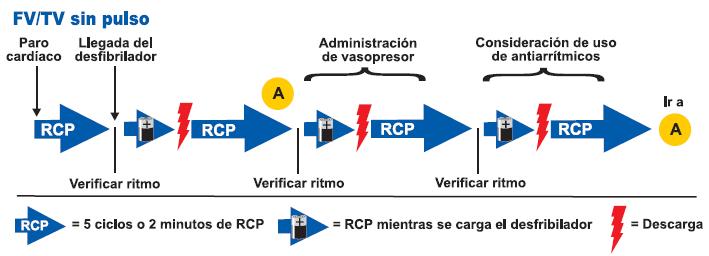 Importancia de un desfibrilador automático (DEA) en una emergencia - GMMC