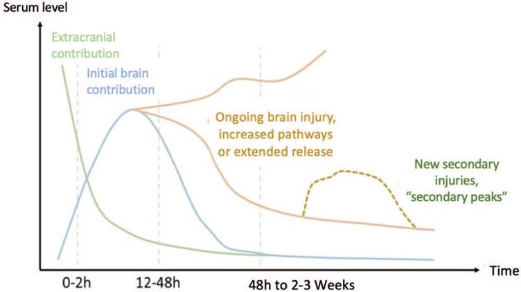 Utility of biomarkers in traumatic brain injury: a narrative review