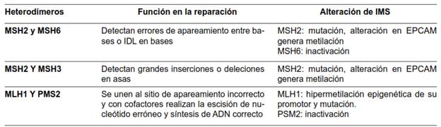Inestabilidad microsatelital y cáncer gástrico