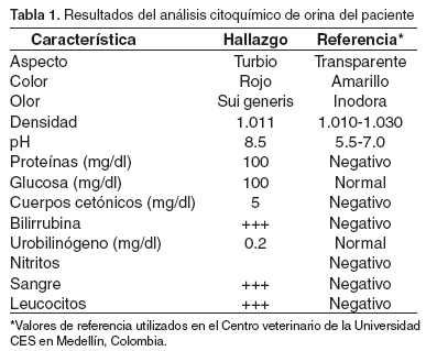 Proteínas en orina embarazo valores normales