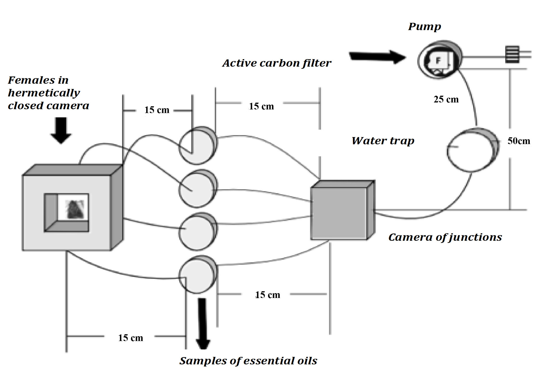 Olfactory responses and feeding preferences of Copitarsia uncilata ...