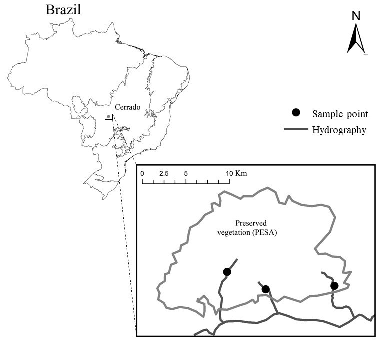Aquatic insects in organic and inorganic habitats in the streams on the ...